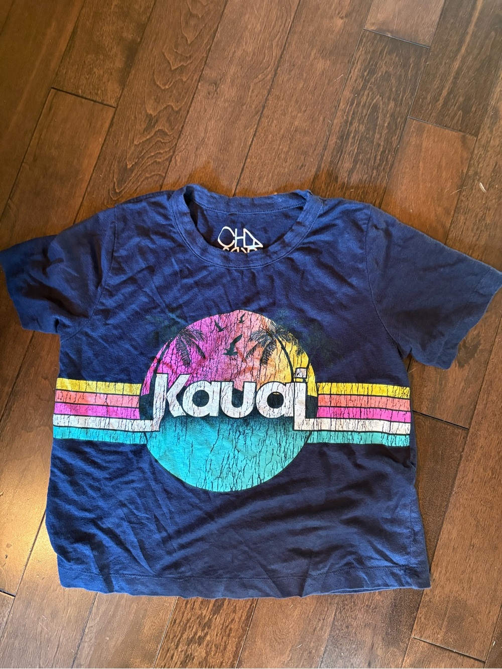 Chaser Kauai Sunset Graphic T-Shirt Navy Blue Small